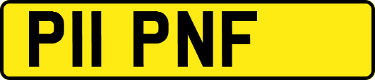 P11PNF