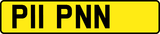 P11PNN