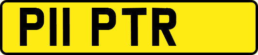 P11PTR