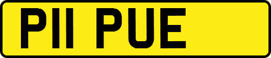 P11PUE