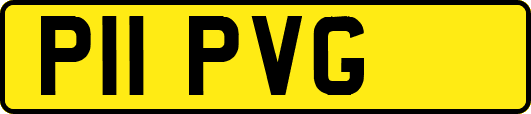P11PVG