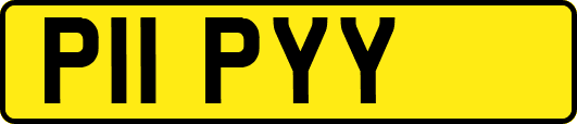 P11PYY