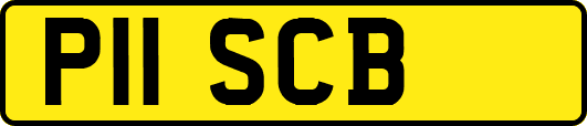 P11SCB