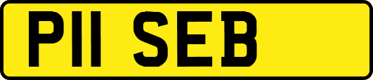 P11SEB