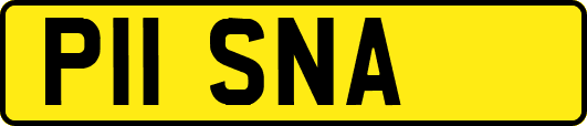 P11SNA