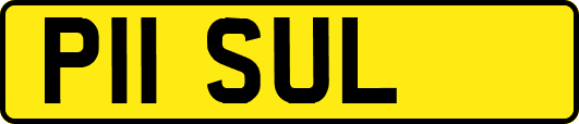 P11SUL
