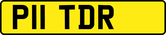 P11TDR
