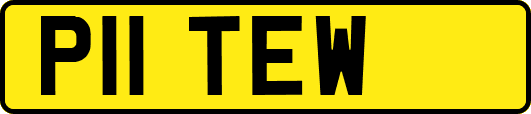 P11TEW