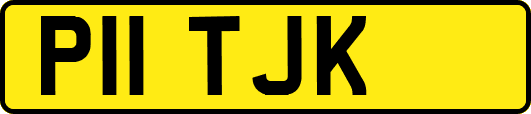 P11TJK