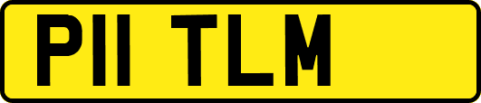 P11TLM