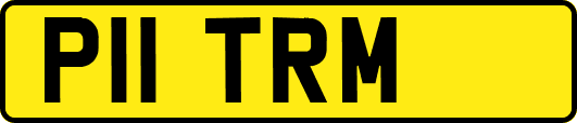 P11TRM