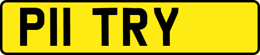P11TRY