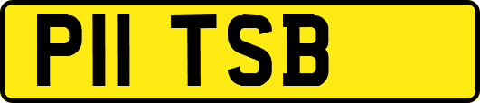 P11TSB