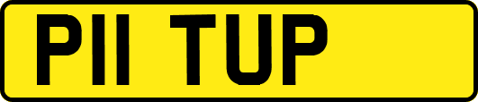P11TUP