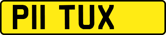 P11TUX