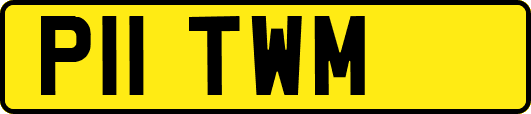 P11TWM