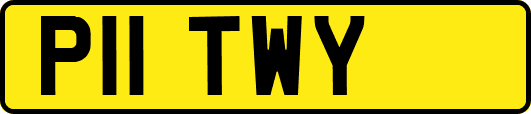 P11TWY