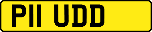 P11UDD