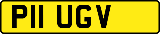 P11UGV