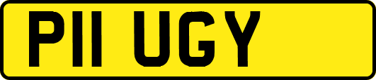 P11UGY