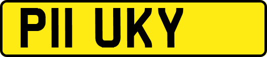 P11UKY