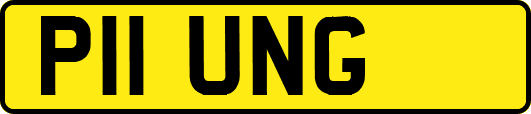 P11UNG