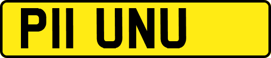 P11UNU