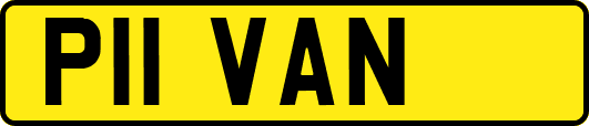 P11VAN
