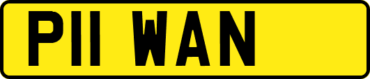 P11WAN