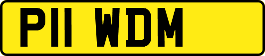 P11WDM
