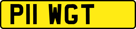 P11WGT