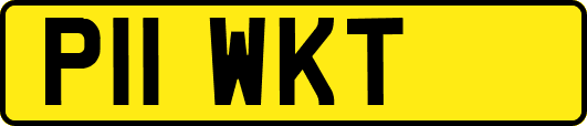 P11WKT