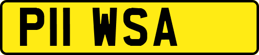 P11WSA