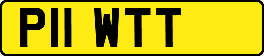 P11WTT
