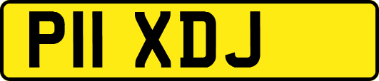 P11XDJ