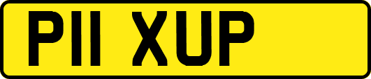 P11XUP