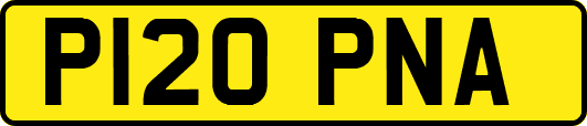 P120PNA