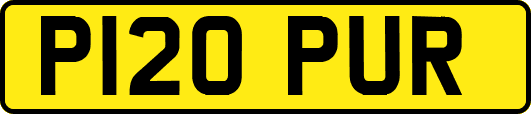 P120PUR