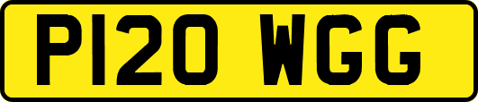 P120WGG