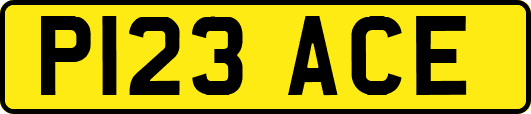 P123ACE