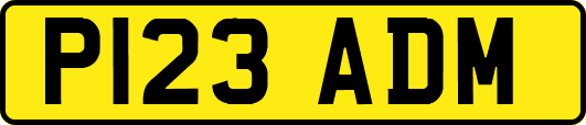 P123ADM