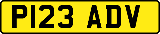 P123ADV