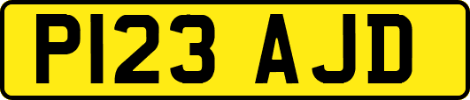 P123AJD