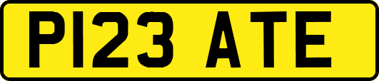 P123ATE
