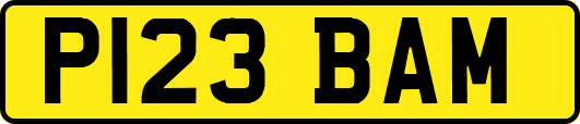 P123BAM