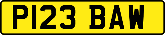P123BAW