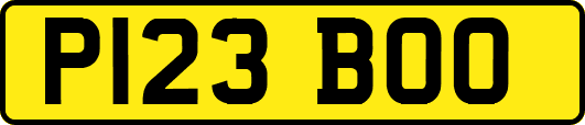 P123BOO