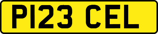 P123CEL
