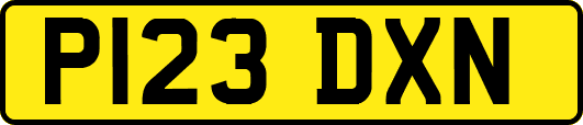P123DXN