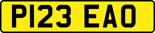 P123EAO